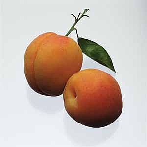 apricot-main_full